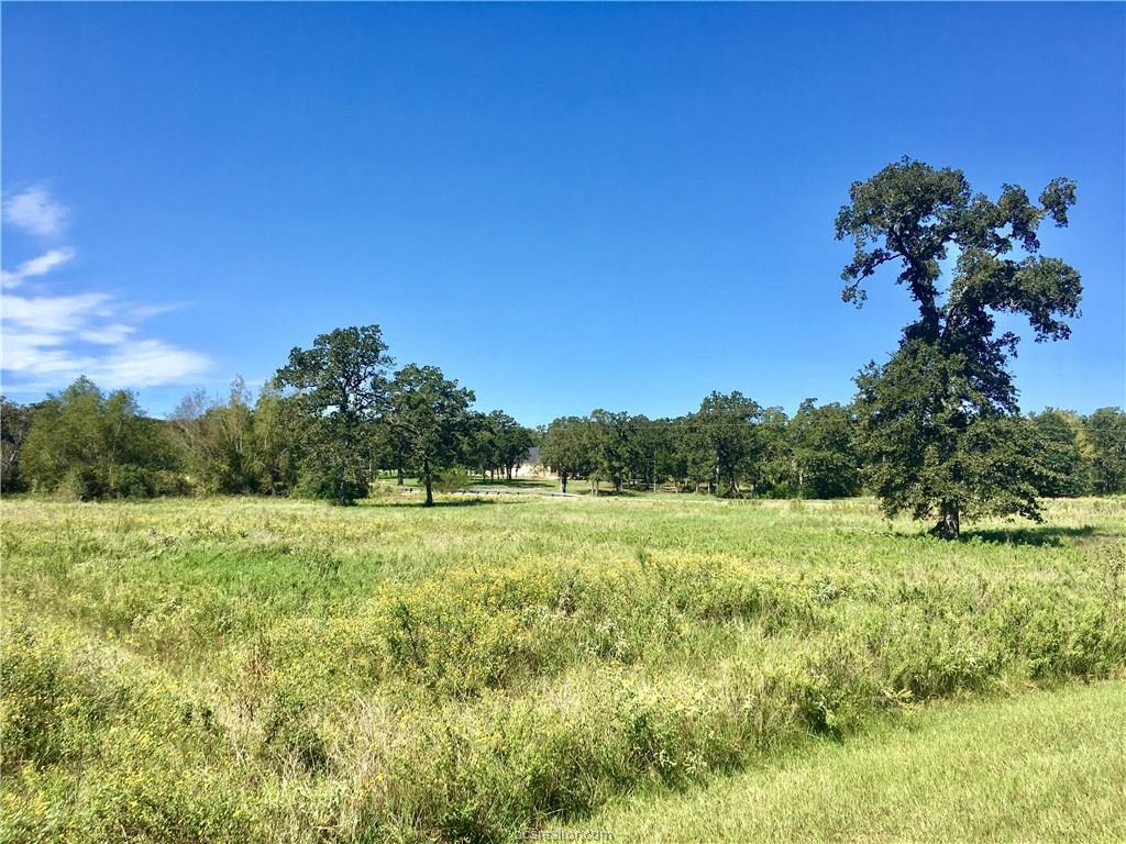 Lot 279 Leigh Court - Photo 1