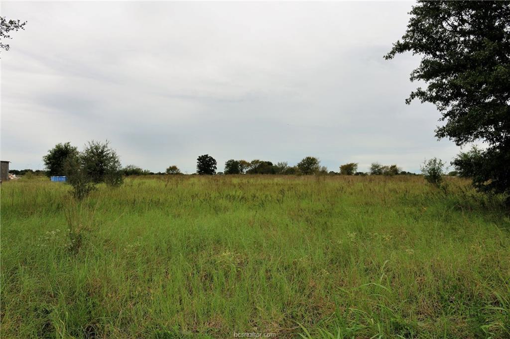 1301 Mustang Loop - Photo 1