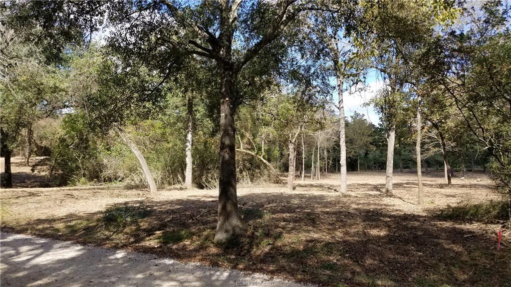 0000 Tract 6 Old Barker Ranch Road - Photo 1