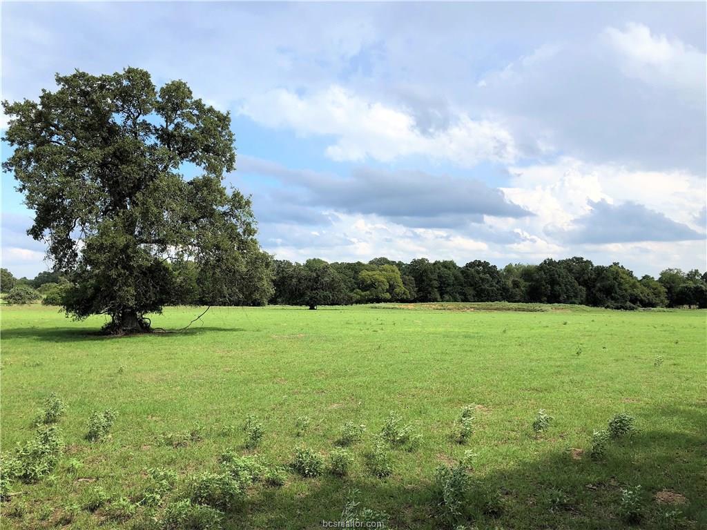 TBD Boyd Road - Photo 1
