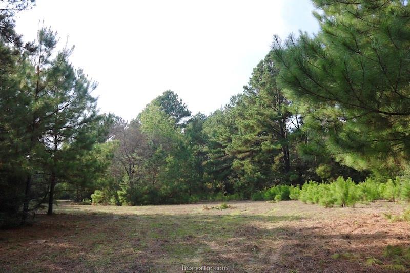 TBD County Road 407 - Photo 1