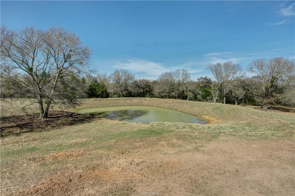 +/- 31 Acres Old Bundick Road - Photo 1