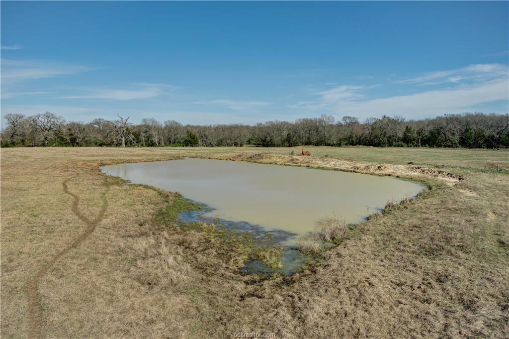 +/- 31 Acres Tbd Williams Rd. Road - Photo 1