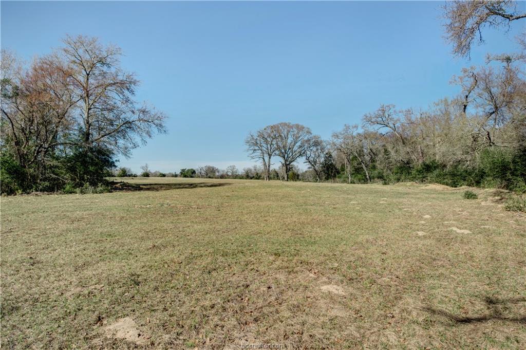 62.416 Acres Old Bundick Road - Photo 1
