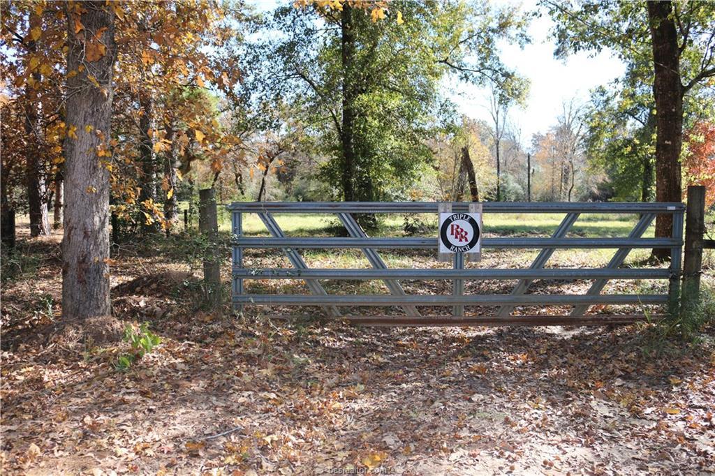 TBD Wood Lane - Photo 1