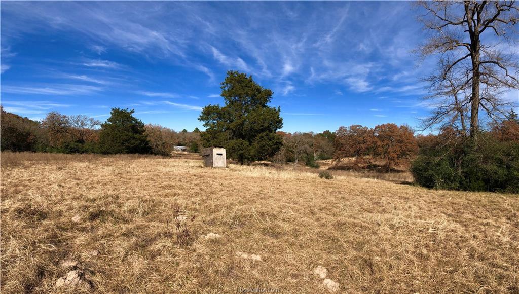 (+/-25 ac) 1927 Red Rock - Photo 1