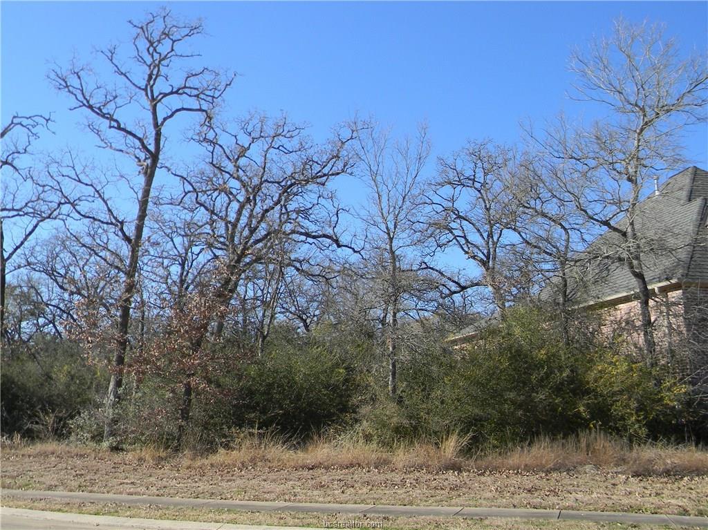 3403 Chinquapin Court - Photo 1