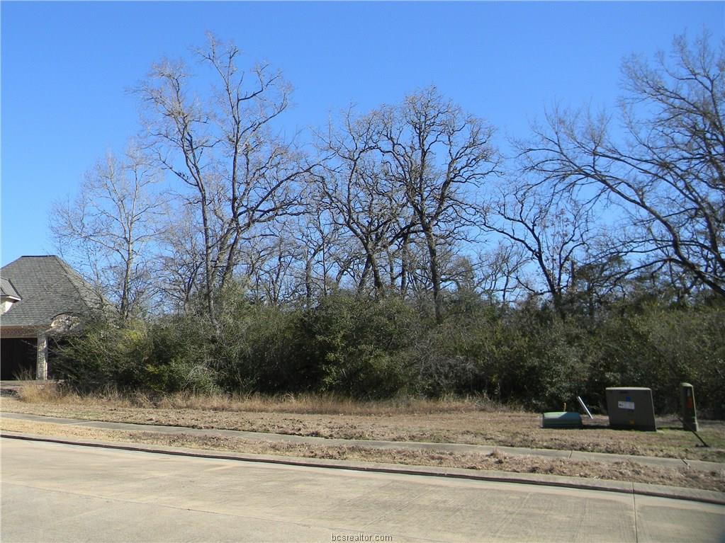 3404 Chinquapin Court - Photo 1