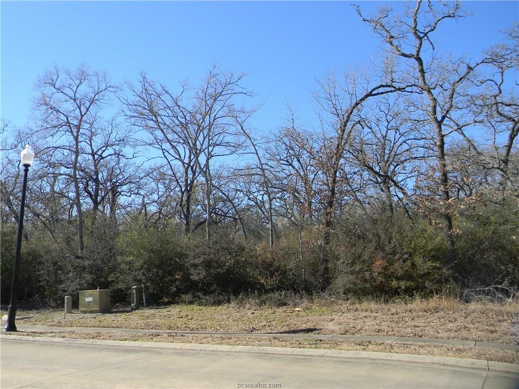 3405 Chinquapin Court - Photo 1