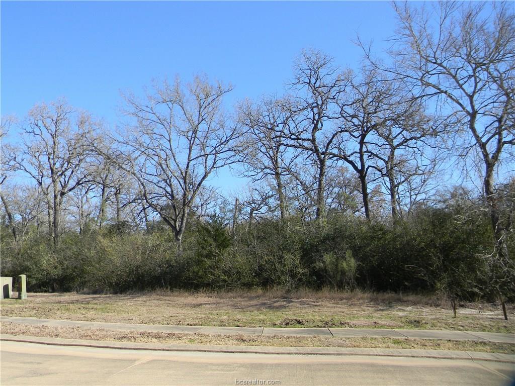 3406 Chinquapin Court - Photo 1