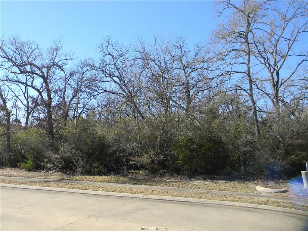 3407 Chinquapin Court - Photo 1