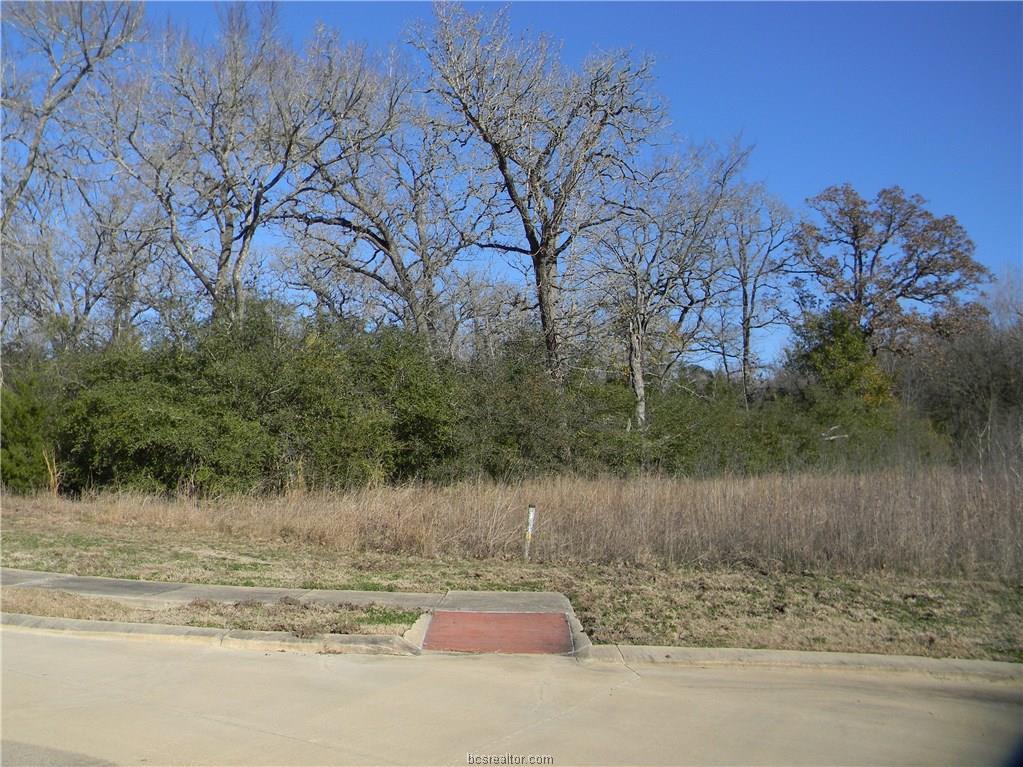 3408 Chinquapin Court - Photo 1