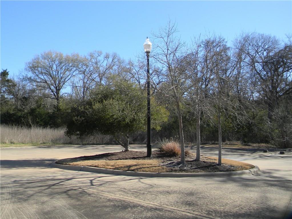 3409 Chinquapin Court - Photo 1
