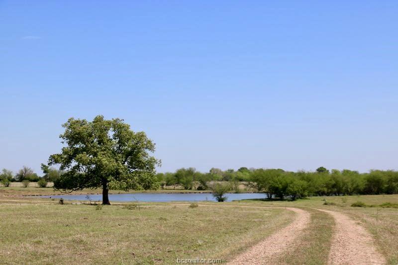 00365 County Road 446 - Photo 1