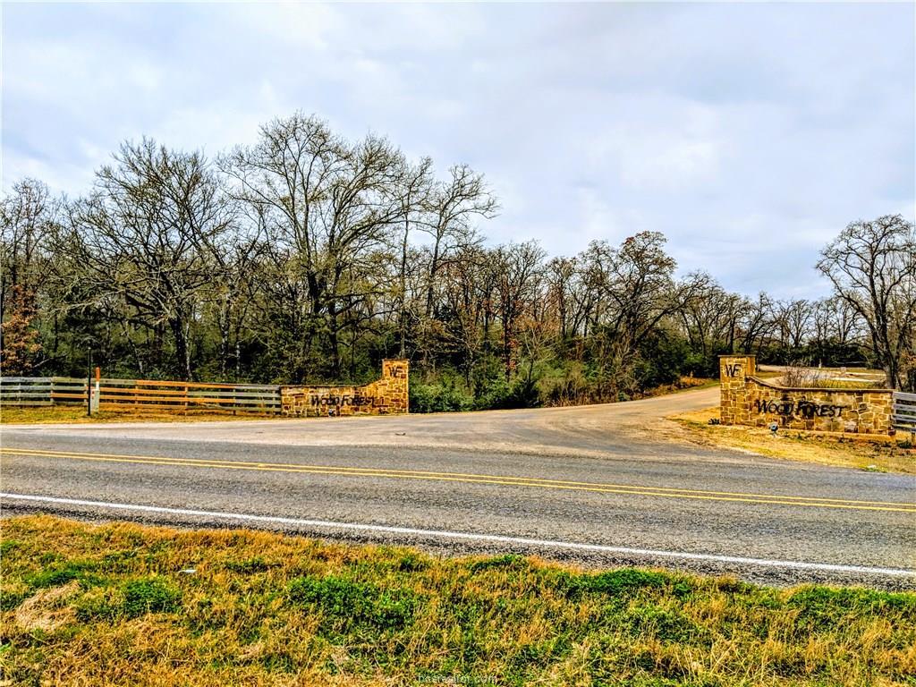 9999 Woodforest Lane - Photo 1