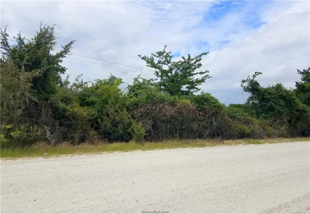 TBD Old Hearne Rd - Photo 1