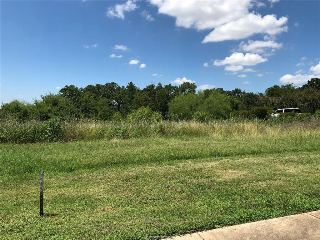 3203 Pinyon Creek Drive - Photo 1