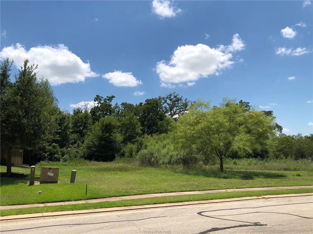 3223 Pinyon Creek Drive - Photo 1