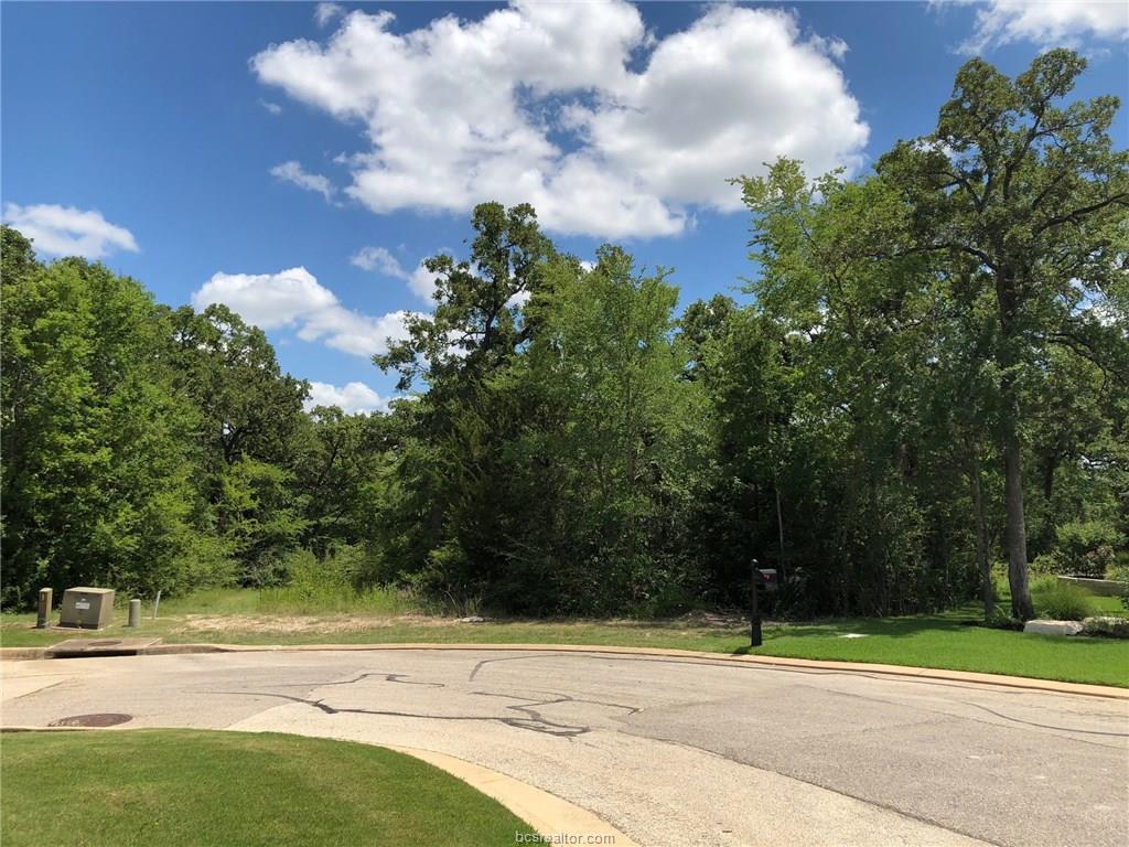 3235 Pinyon Creek Drive - Photo 1