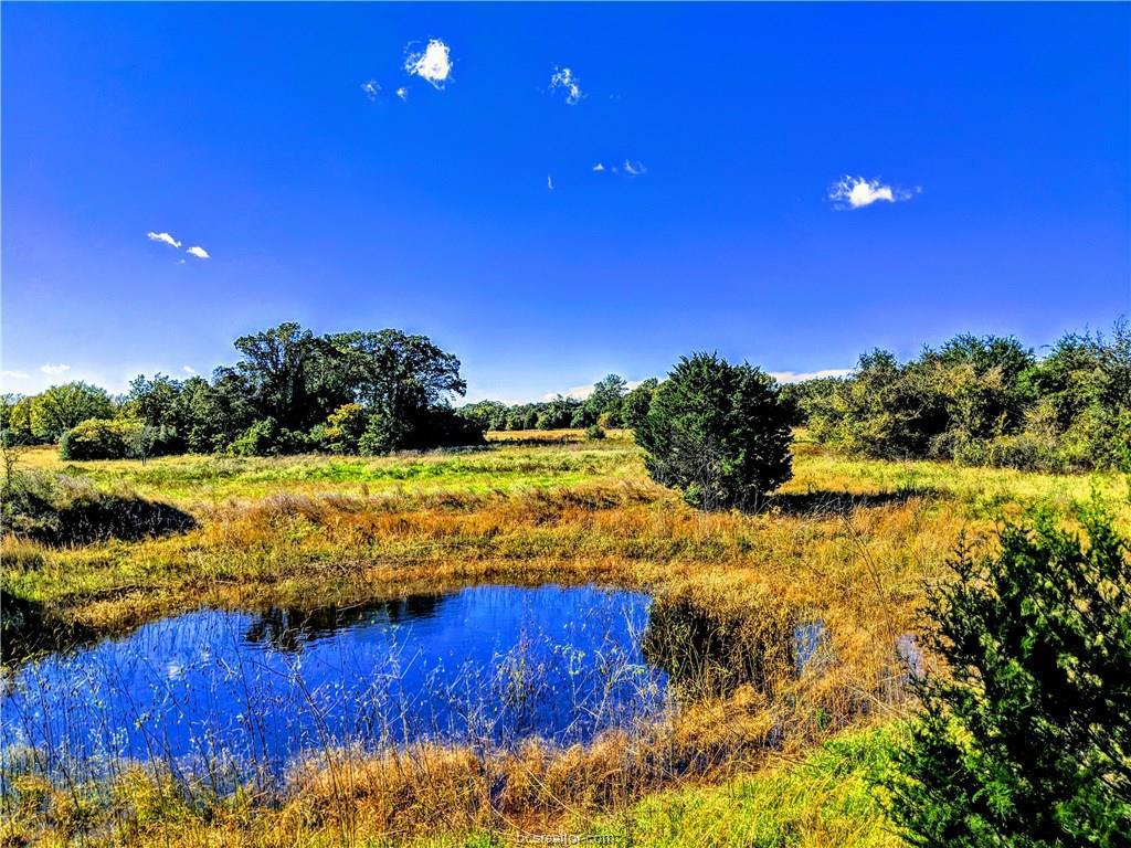 13360 Red Bank Road - Photo 1