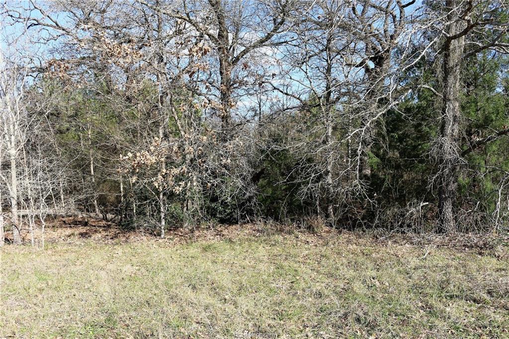 000 Settlers Lane - Photo 1