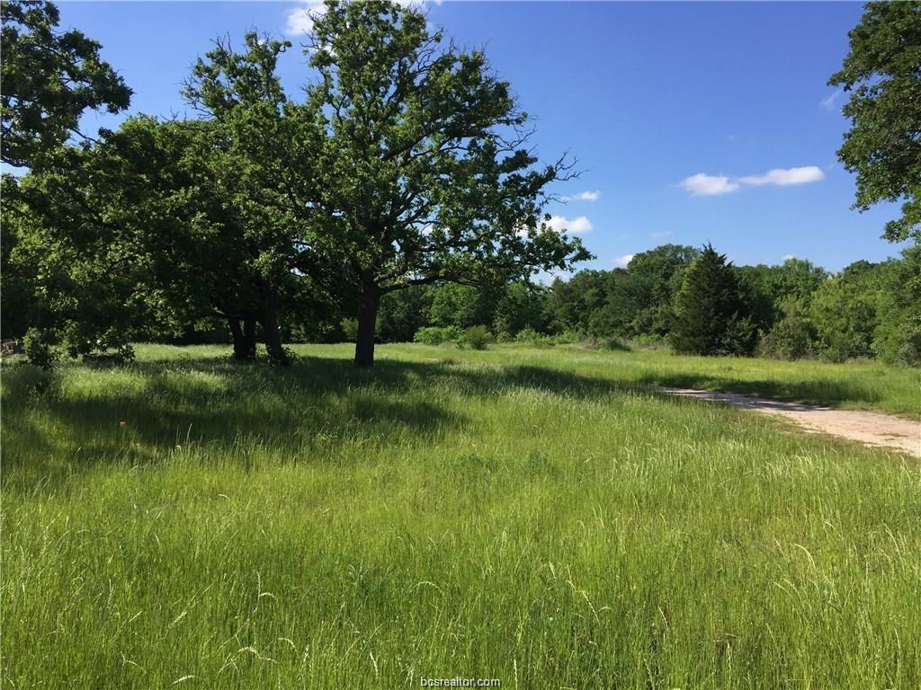 2502 Beck Street - Photo 1