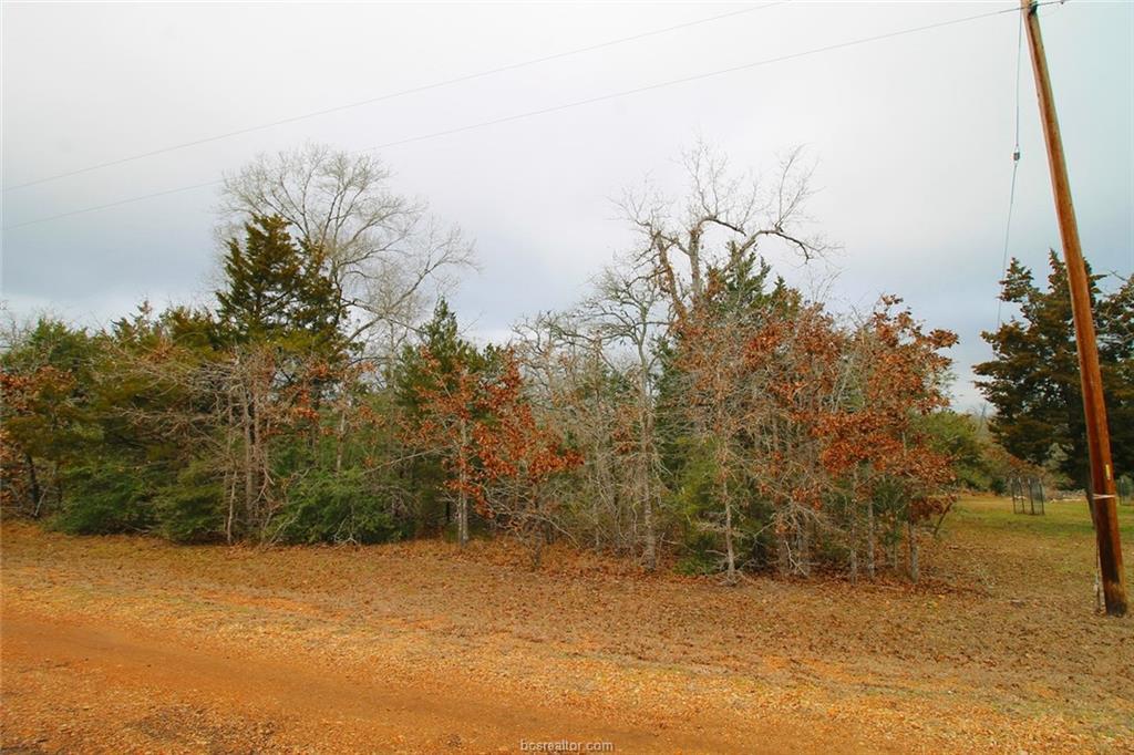 459 Berry Lane - Photo 1