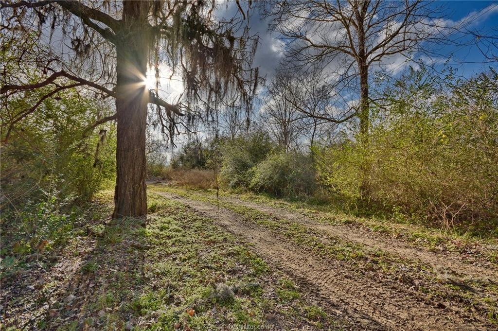 3183 Mill Creek Road - Photo 1