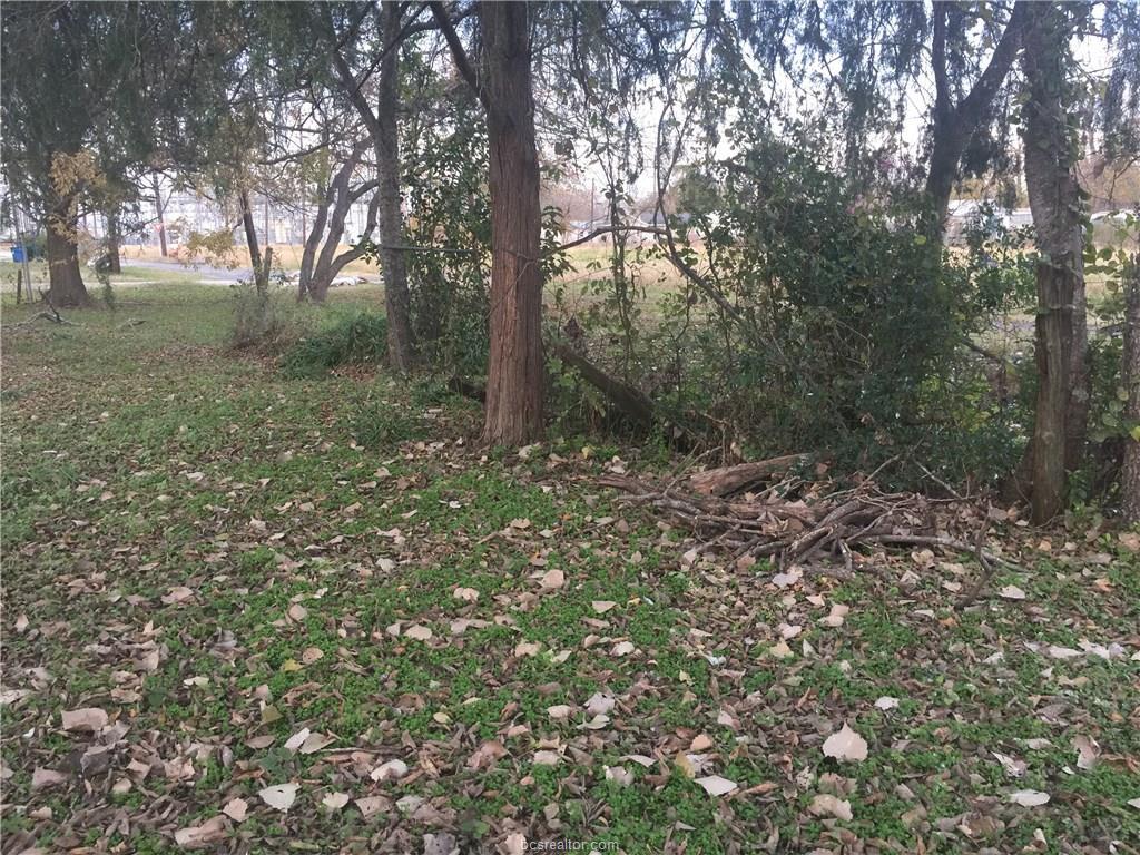 808 Levy Street - Photo 1