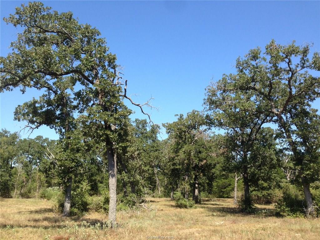 10483 Ascot Trail - Photo 1