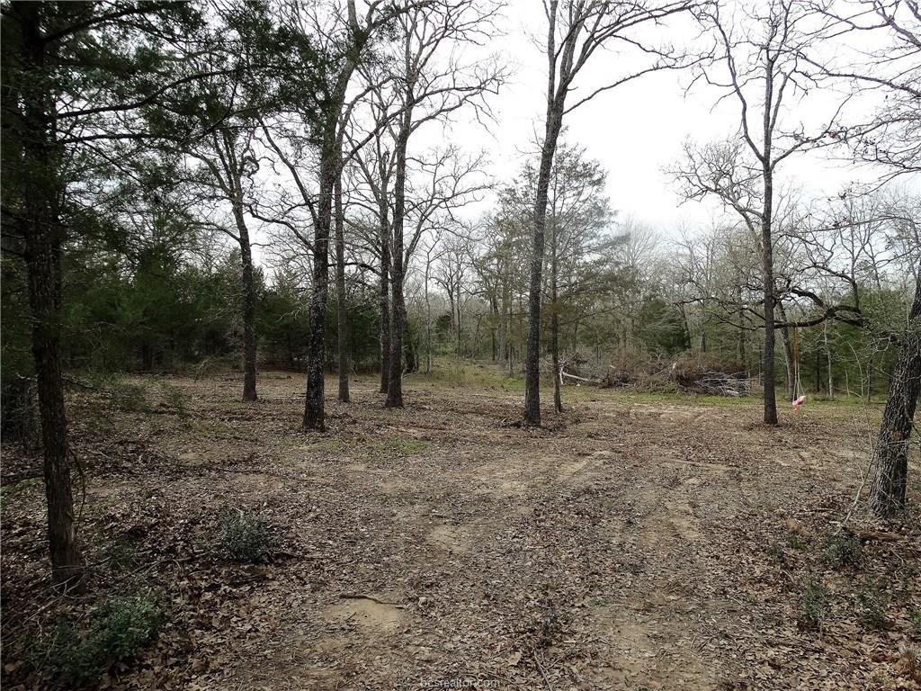 11567 La Fountain Pvt Lane - Photo 1