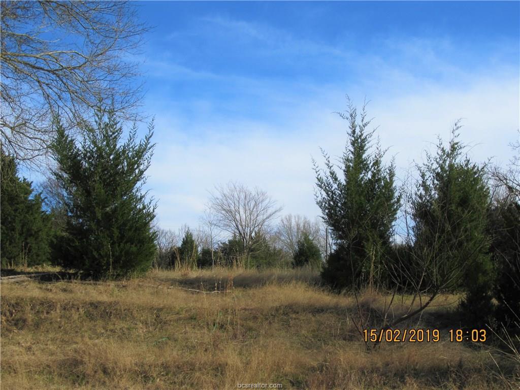 TBD Lot 31 Post Oak Loop - Photo 1