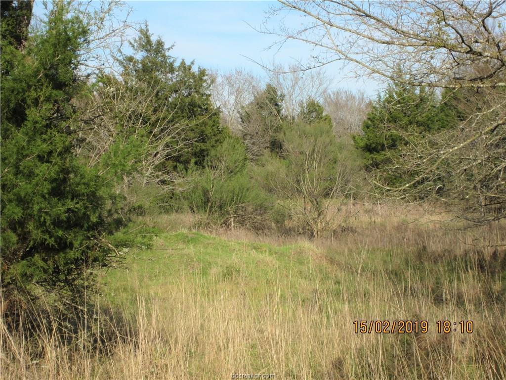 TBD Lot 27 Post Oak Loop - Photo 1