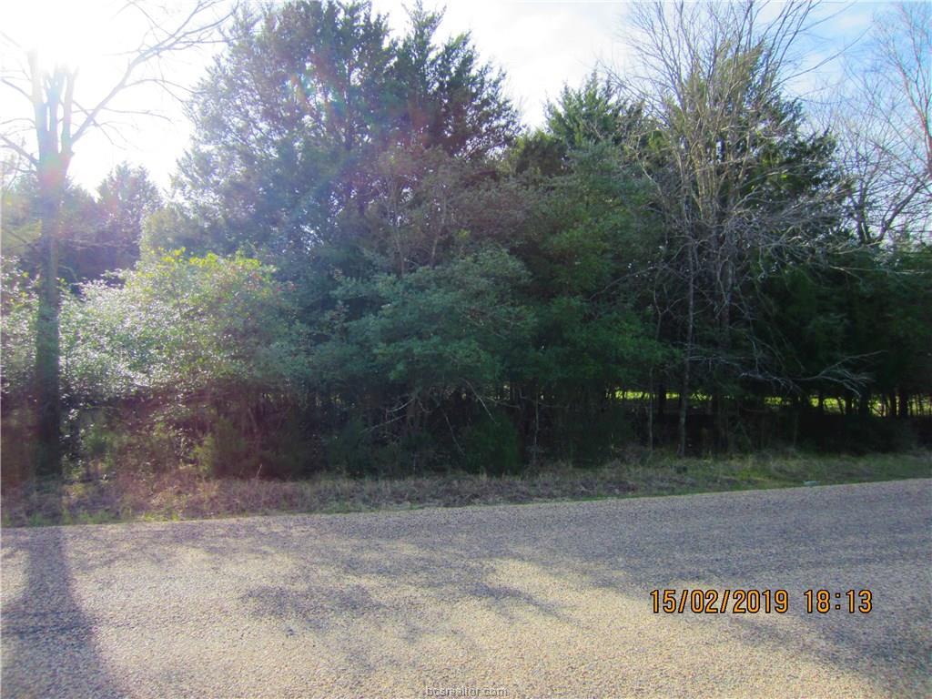 TBD Lot 26 Post Oak Loop - Photo 1