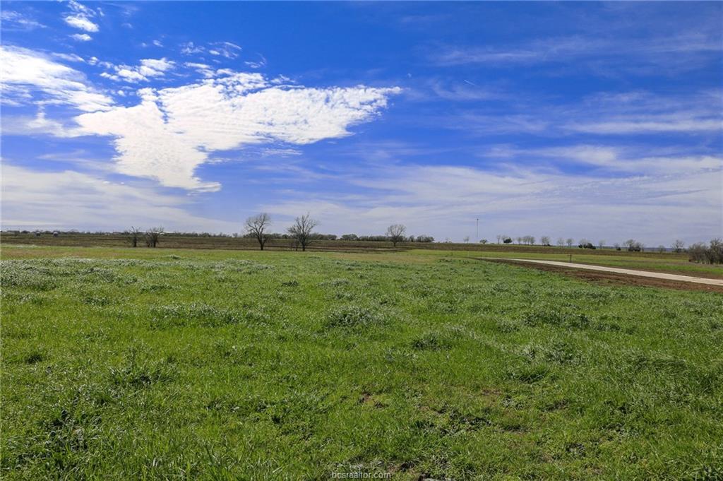 Lot 15 Reagans Way - Photo 1