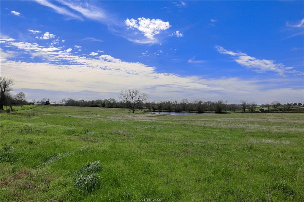 Lot 19 Reagans Way - Photo 1