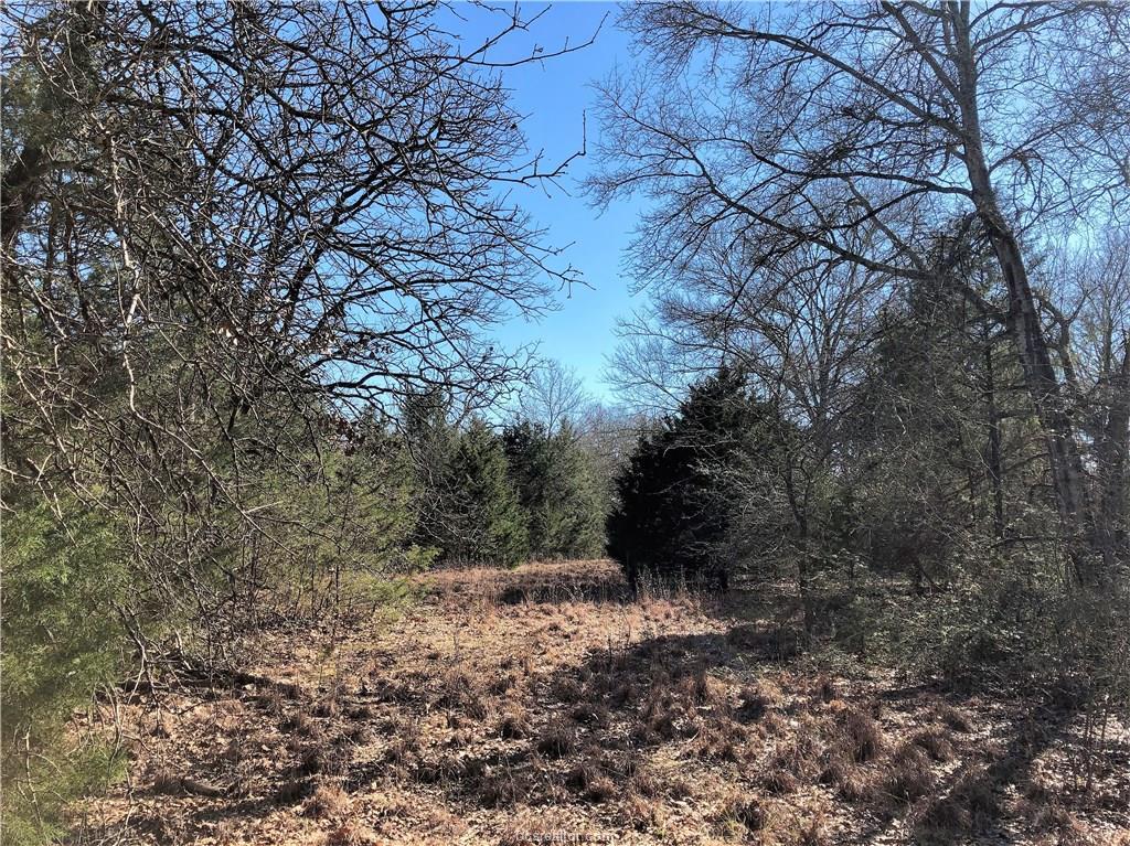 TBD Pin Oak Road - Photo 1