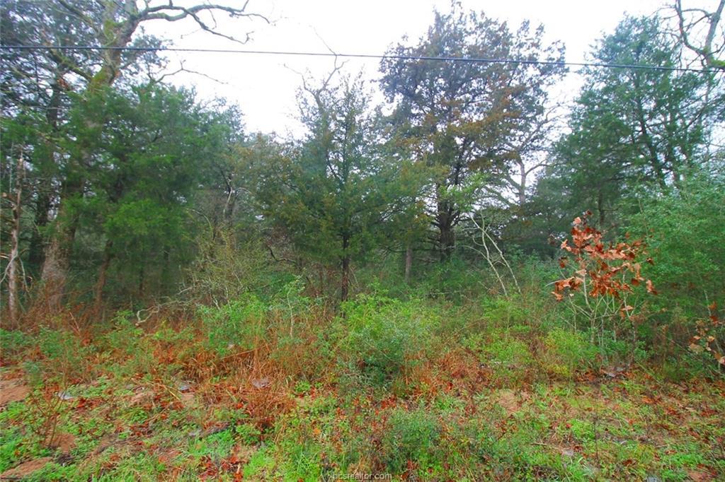 TBD Elm Drive - Photo 1