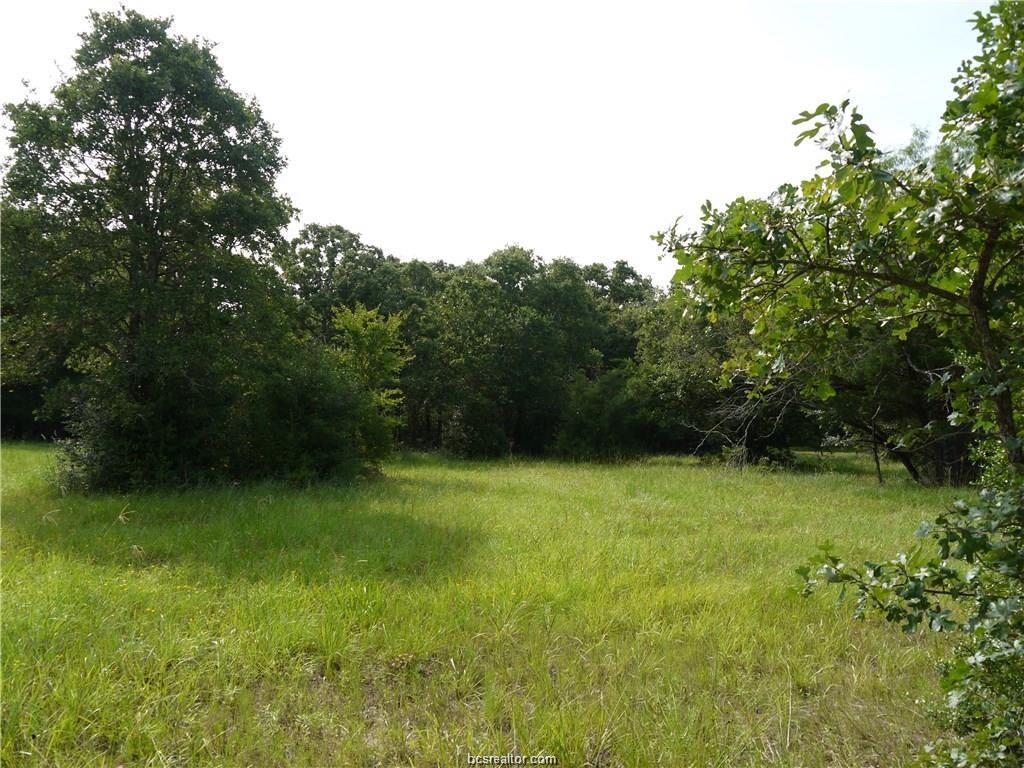 8921 Green Branch Loop - Photo 1