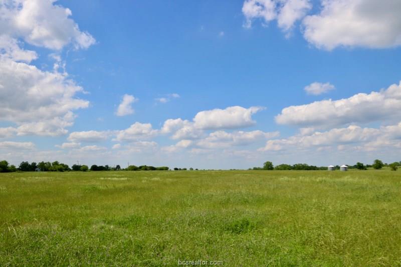 Lot 7 Reagans Way - Photo 1