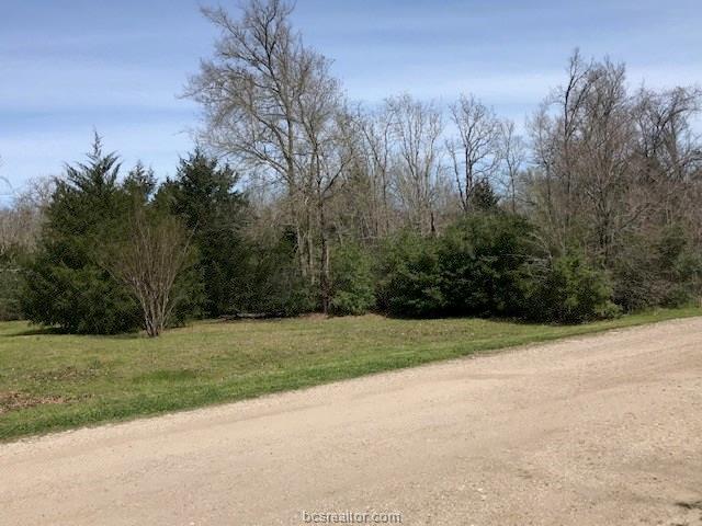 000 Berry Ridge South - Photo 1