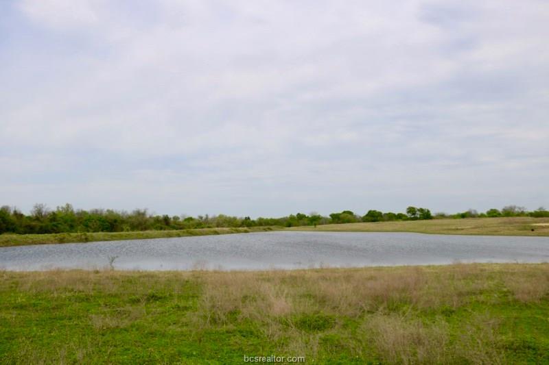 Lot 17 Reagans Way - Photo 1