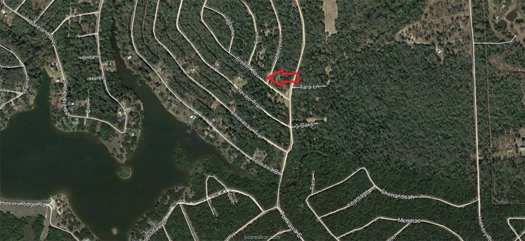 Lot 20 Cheyenne - Photo 1