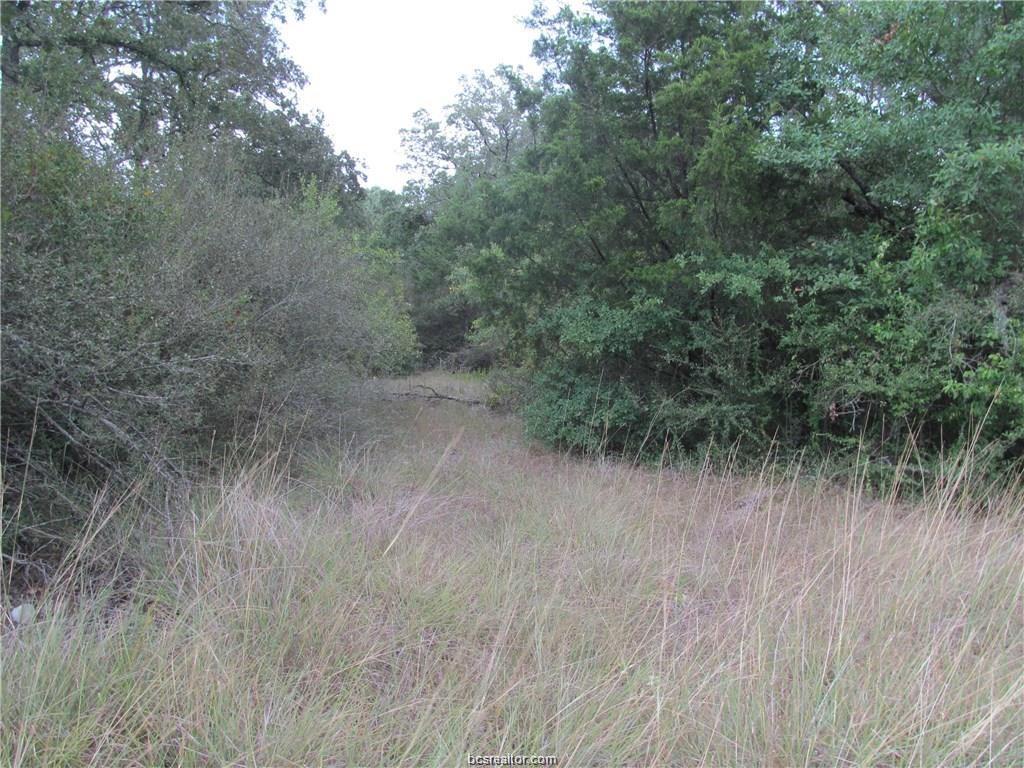 1901-B Pinewood Drive - Photo 1