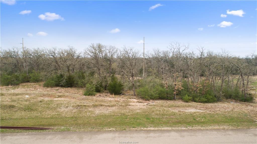 5205 Ruddy Duck Drive - Photo 1