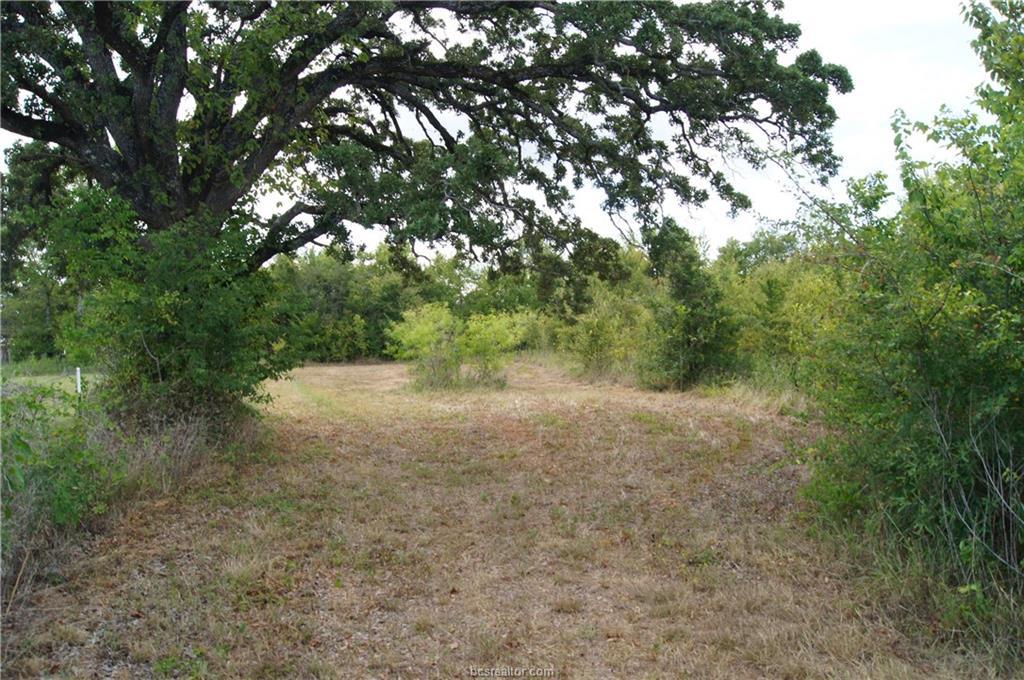TBD Hwy 39 - Photo 1