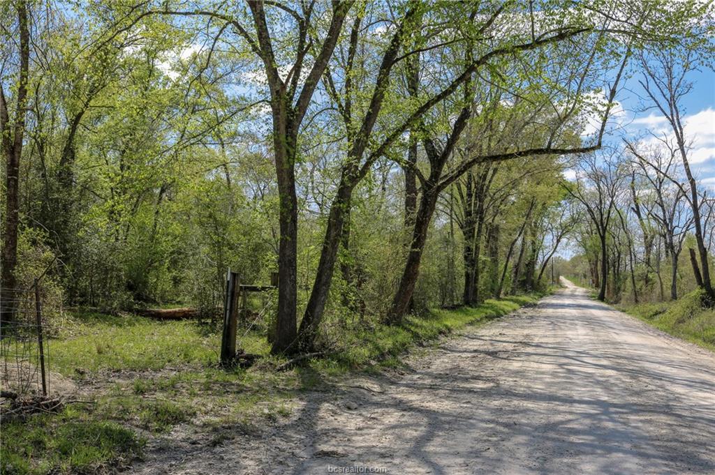 TBD County Rd 233 - Photo 1