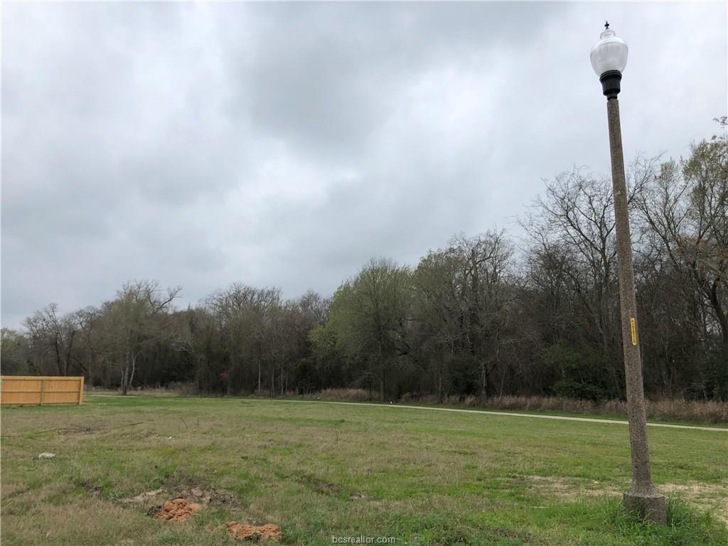 3225 Ashville Path Drive - Photo 1