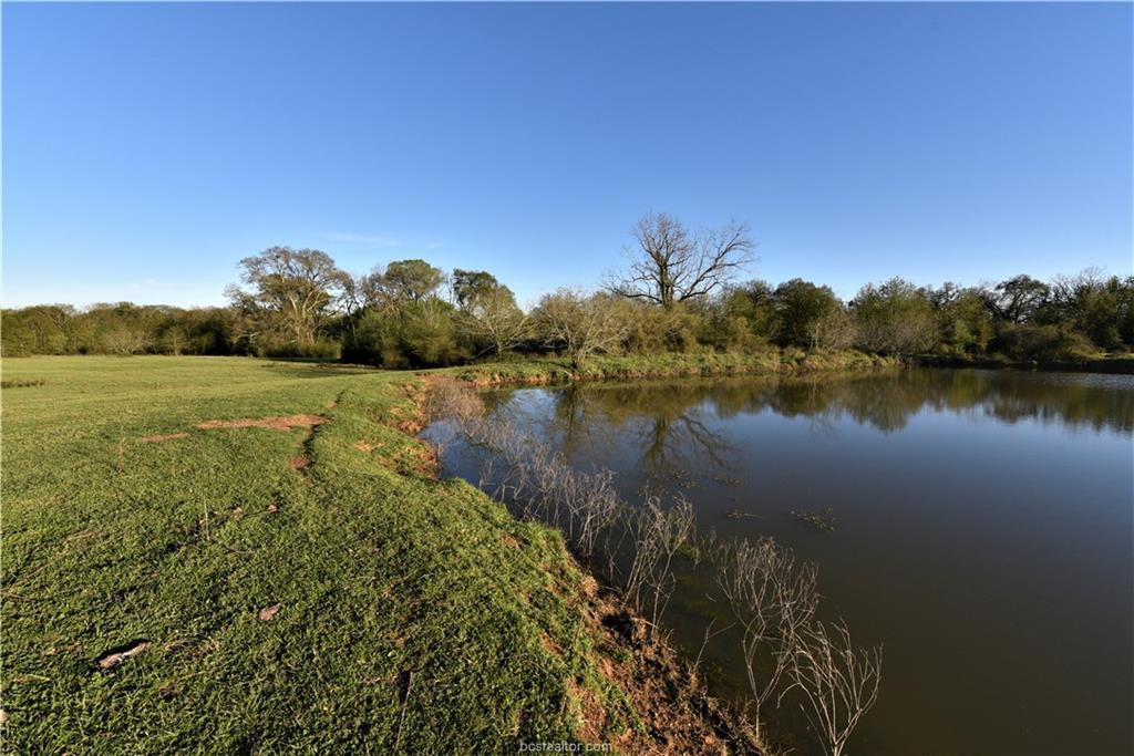 (+/-158 acres) County Road 334 - Photo 1