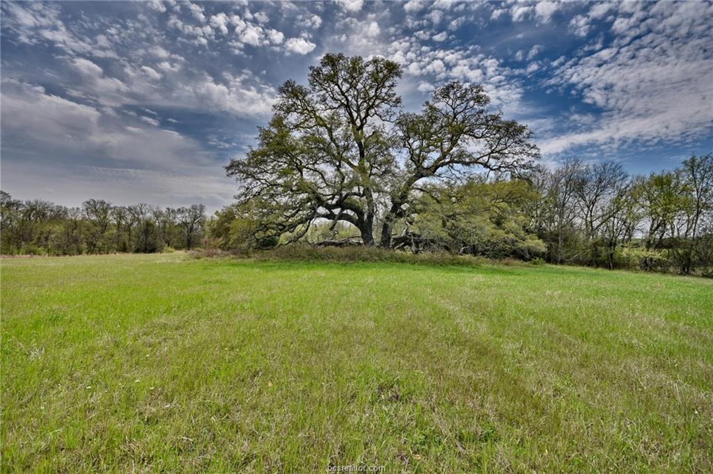 000 Sandy Hill Road - Photo 1